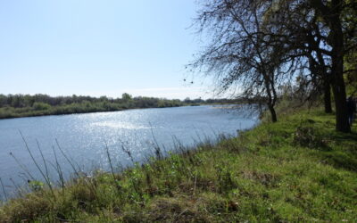 Hiking at Bobelaine Audubon Sanctuary