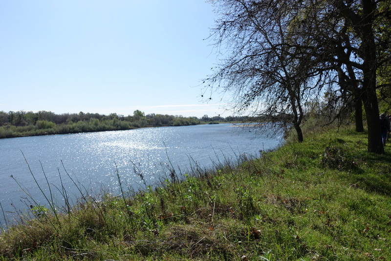 Hiking at Bobelaine Audubon Sanctuary