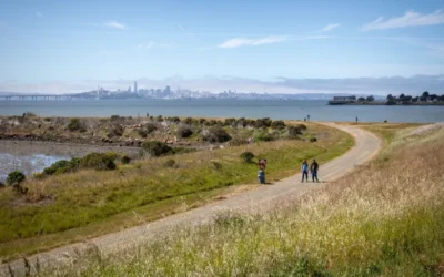 McLaughlin Eastshore State Park Seashore